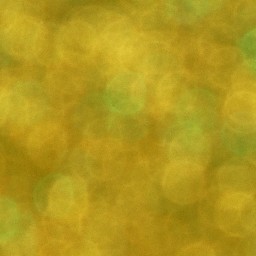 Bokeh-493